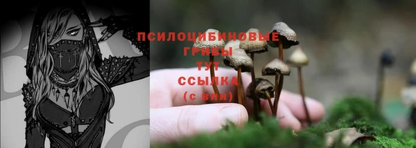 mdma Магас