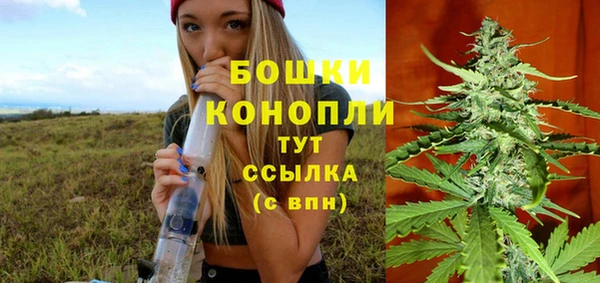 твердый Магадан