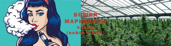 твердый Магадан