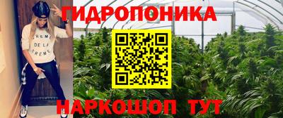 метадон Донской