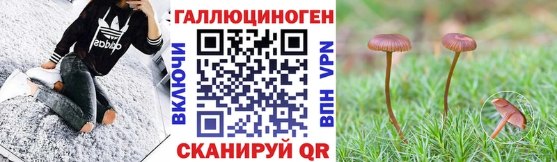 Псилоцибиновые грибы ЛСД  кракен ССЫЛКА  Дятьково 