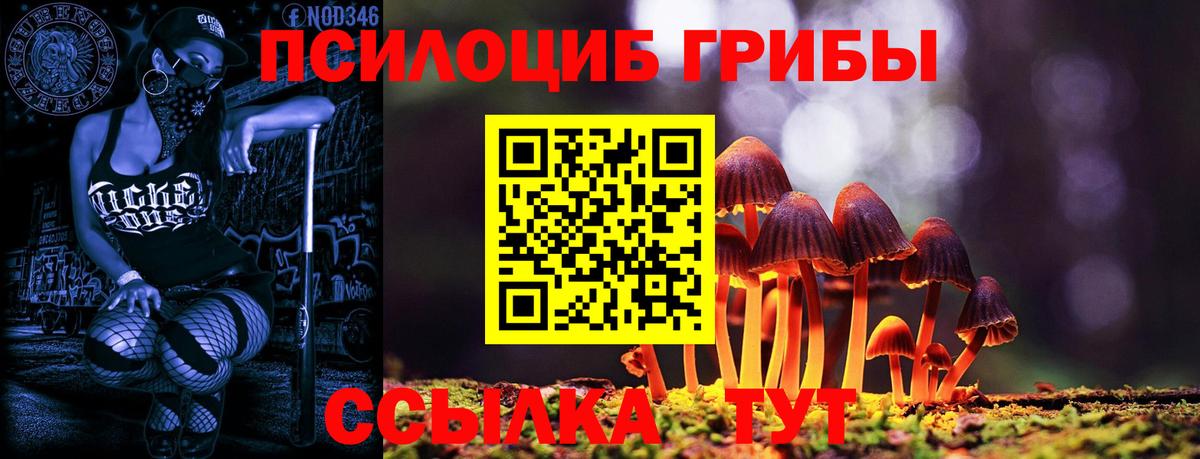 Псилоцибиновые грибы Magic Shrooms  Галлюциногенные грибы Magic Shrooms  Дятьково 