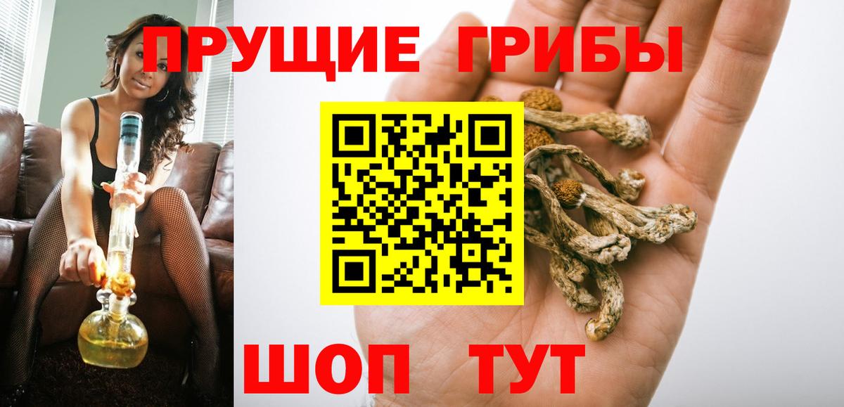 Дятьково  Галлюциногенные грибы Psilocybine cubensis  Вход с VPN 