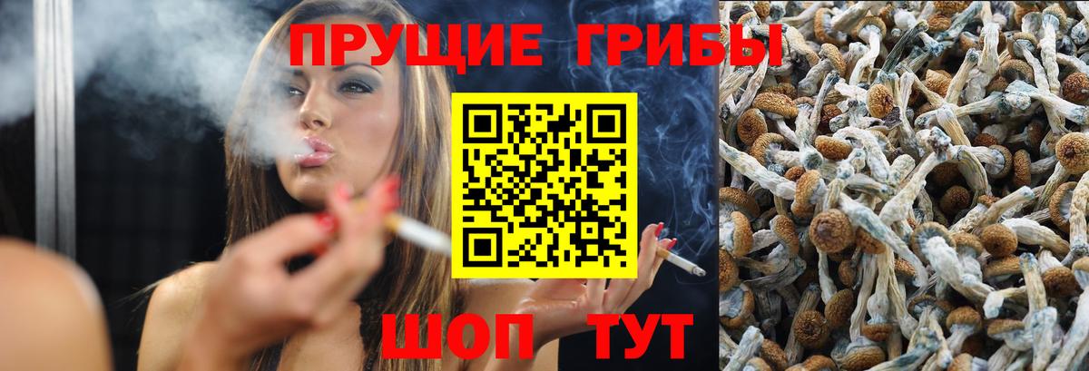 Галлюциногенные грибы MAGIC MUSHROOMS Дятьково